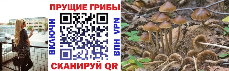 Галлюциногенные грибы прущие грибы  цена наркотик  Исилькуль 